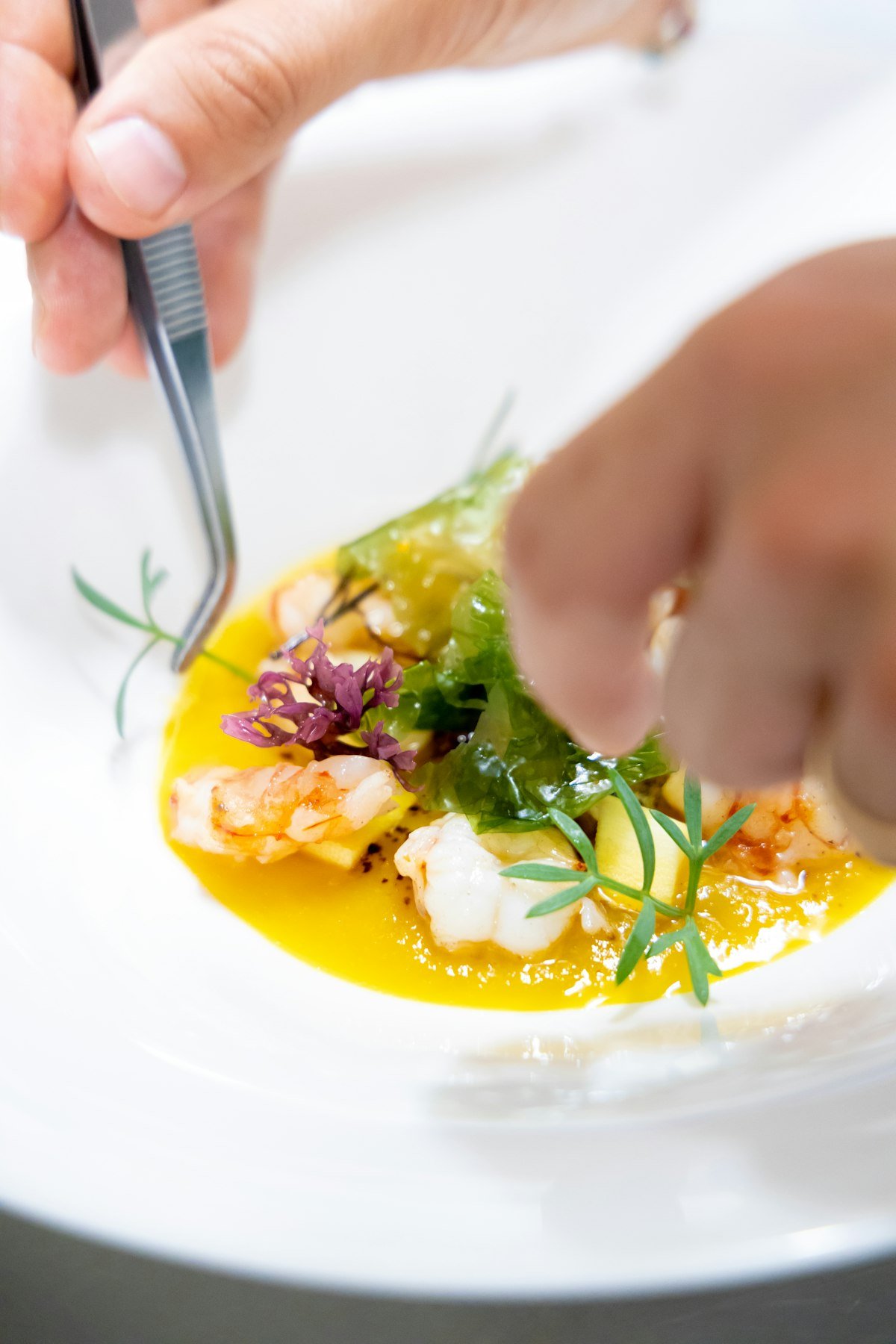 Fine dining plated course