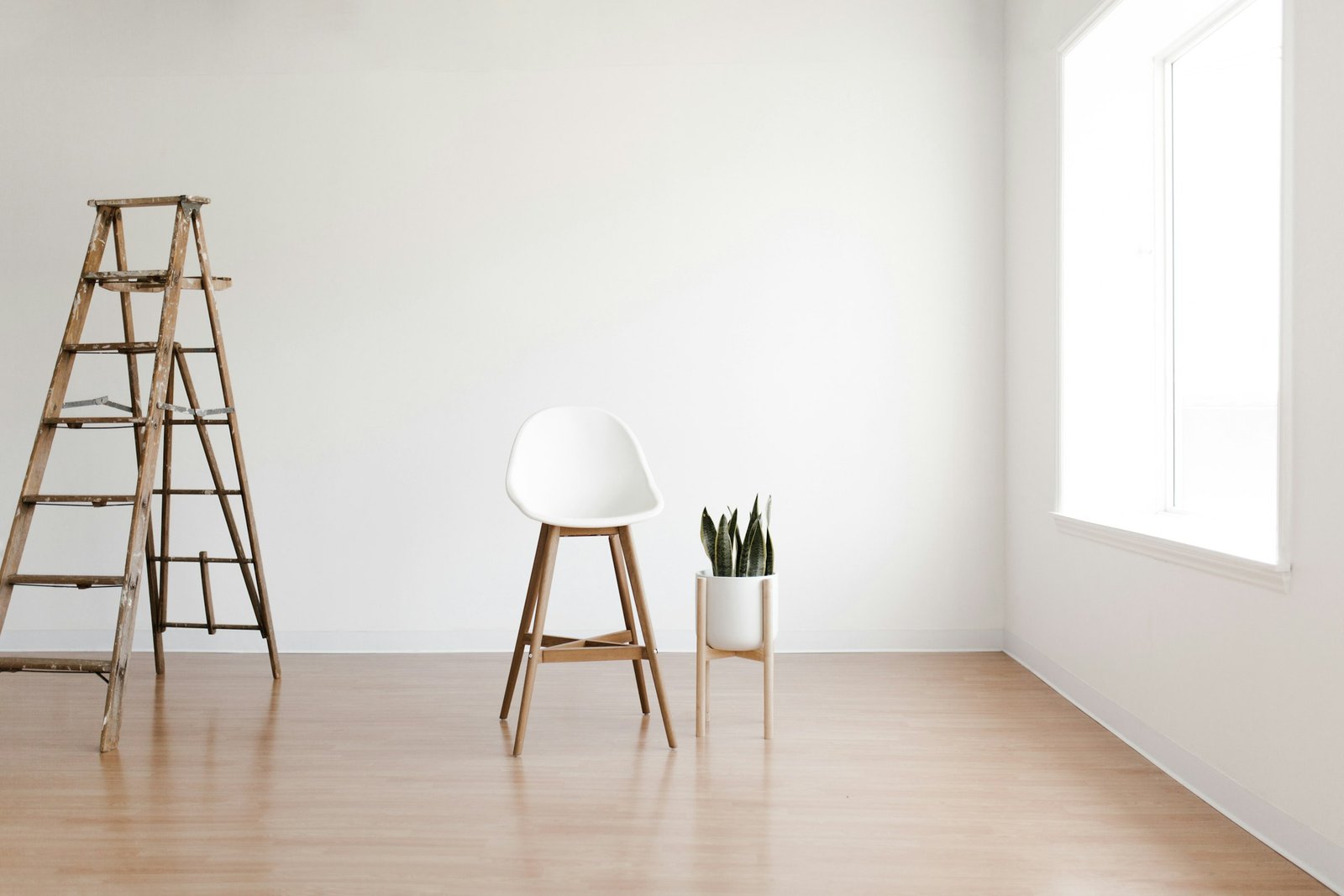 Move-in / move-out cleaning